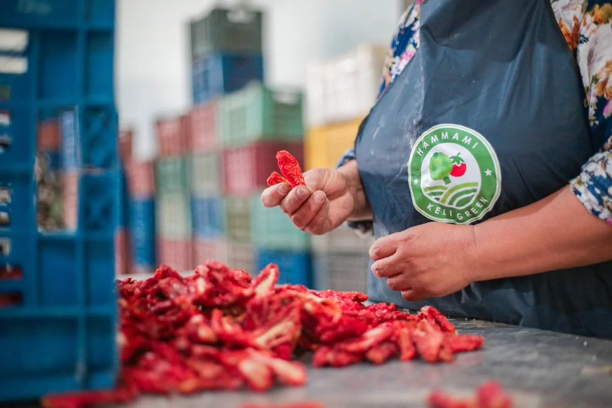 Contrôle des tomates séchées
