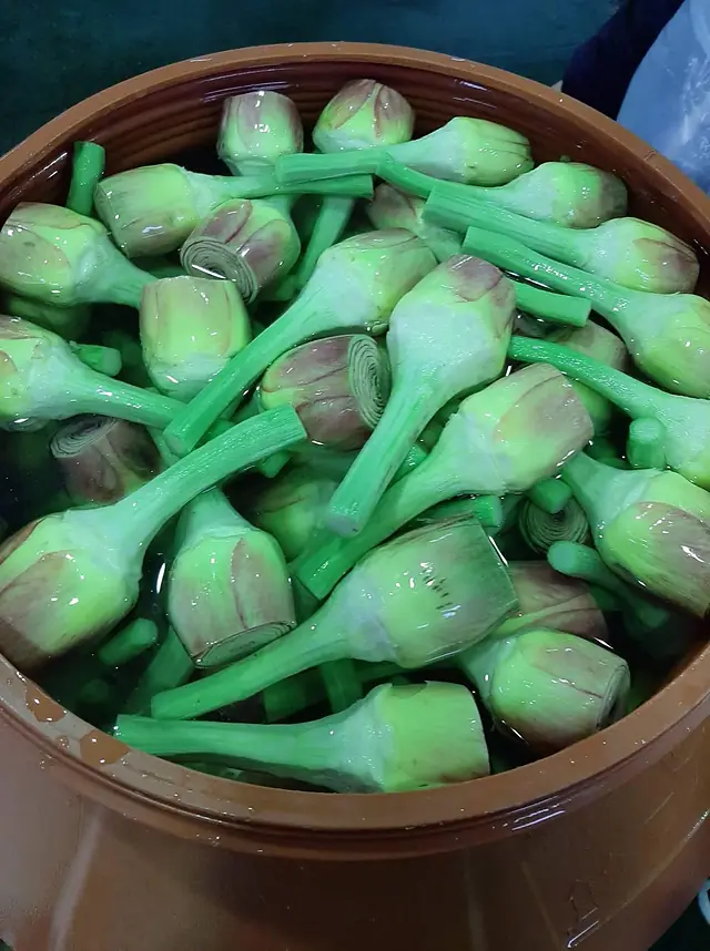 Hammami Keli Green, Jedaida