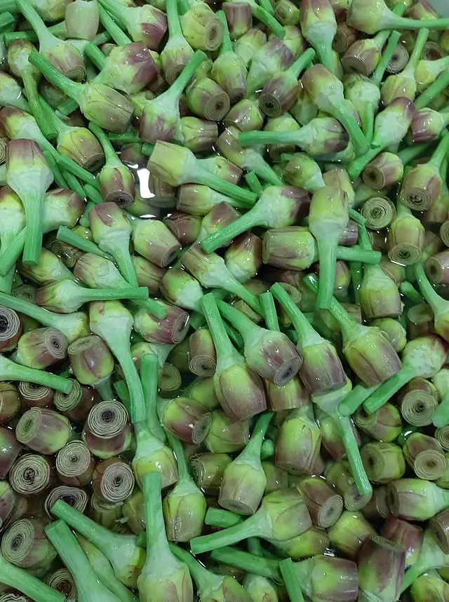 Hammami Keli Green, Jedaida